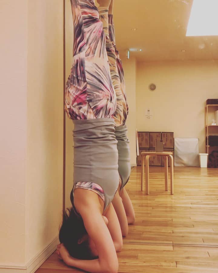 桜帆ゆかりのインスタグラム：「火曜の友佳子先生 @iiiyukako レッスンで新たに〝上腕三頭筋/二の腕〟と〝肩〟を開発して頂いたので、シルシャーサナ🙋‍♀️ かなり楽に出来るようになりました😚❤️ . . . 二の腕まわりを鍛えつつ三角筋のもっこりは減らしてシャープな腕目指します💪 . . . #yogapractice  #yoga  #シルシャーサナ  #個人的に  #疲れて内臓下垂の時に  #おすすめ  #スッキリします🙋‍♀️ #ピンチャ出来るようになりたい」