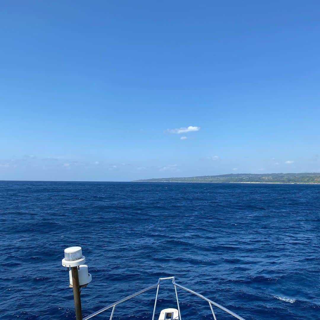 井上裕介さんのインスタグラム写真 - (井上裕介Instagram)「徳之島で鯨と泳ぐ仕事に来ております。  #NONSTYLE #ノンスタイル  #井上 #ホエールスイム #過酷」2月27日 18時06分 - nonyusuke