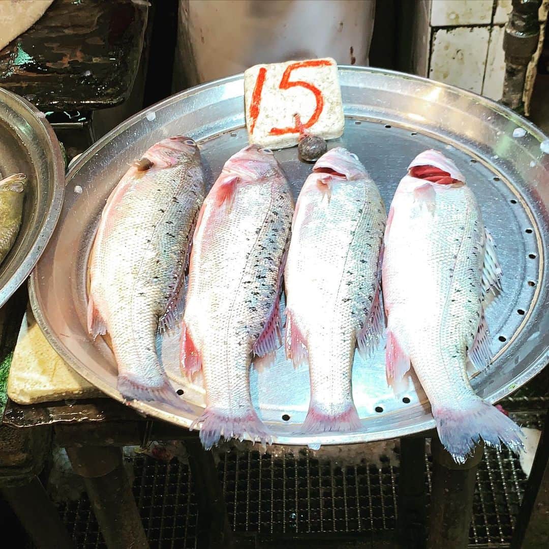 スティーブン・チョンのインスタグラム：「今晚食魚🤤 #同恒搵食」