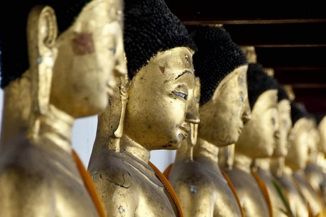 タイ国政府観光庁さんのインスタグラム写真 - (タイ国政府観光庁Instagram)「⠀ ／⠀ 🇹🇭タイの秘境を巡る旅へ✈️⠀ まだ知られていないタイはここ❗⠀ ＼⠀ ⠀ 毎週木曜日は、まだまだ日本では知られていないタイの秘境スポットをご紹介🤫✨⠀ ⠀ 今回は、タイの南部で仏教の中心として知られる「ナコーンシータマラート」へ🚞⠀ ⠀ ナコーンシータマラートには重要な仏教寺院がたくさん🙏✨⠀ ⠀ また、エコツーリズム・ スポットとして知られているキーリーウォン村では穏やかな生活スタイルを体験し、公園内の滝や自然風景を楽しむことも🙆🌿⠀ ⠀ ナコーンシータマラートでゆったりとした時間を過ごしてみてはいかが❓⠀ ⠀ #タイ #ナコーンシータマラート #キーリーウォン村 #秘境 #仏教 #タイ寺院 #お寺巡り #こんなタイ知らなかった #もっと知りタイ #タイ旅行 #タオ島旅行 #エコツーリズム #旅好きな人と繋がりたい #旅行好きな人と繋がりたい #海外旅行 #旅行 #東南アジア #thailand #NakhonSiThammarat #amazingthailand #thailandtravel #thailandtrip #thai #thaistagram #lovethailand #thainess #localexperience #genic_thailand #thailandhiddengems #hiddengems」2月27日 18時25分 - amazingthailandjp
