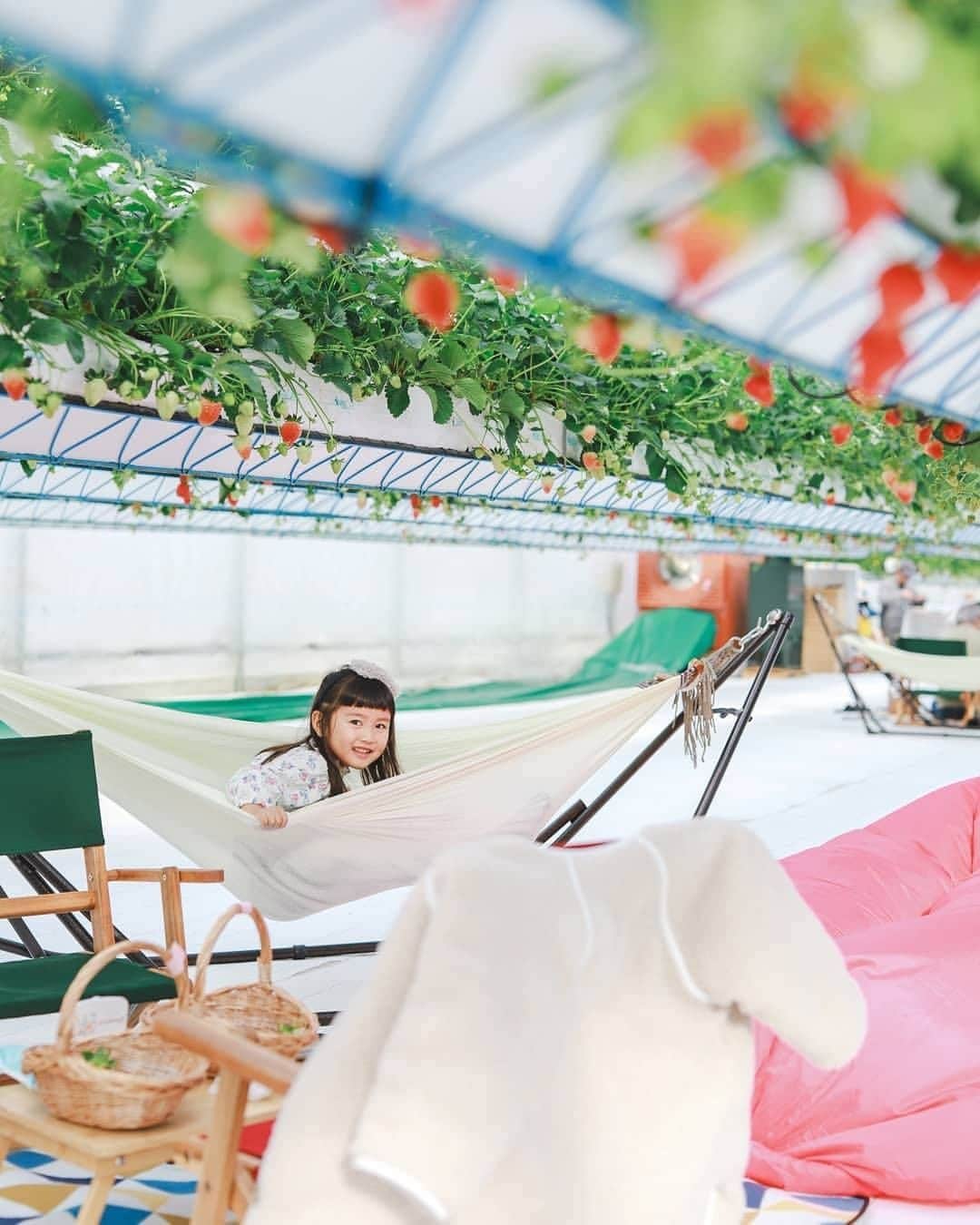 asoview! のグルメインスタ