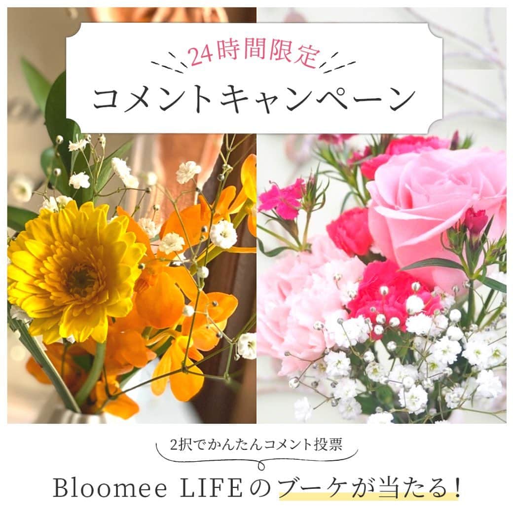 Bloomee LIFEさんのインスタグラム写真 - (Bloomee LIFEInstagram)「🌸24時間限定！2択で簡単コメント投票🌼 【あなたが今飾りたいお花はどっち？】 ・ ／ 手軽に参加！Bloomee LIFEのブーケが当たる💐🎁 ＼ ・ 1枚目：黄色のお花🌼 2枚目：ピンクのお花🌸 ・ あなたはどちらのお花がお好みですか？ ・ 🙌フォロー&コメントで簡単参加🙌 テーマに沿って、 こちらの投稿にコメントで投票してください📝💬 ・ コメントいただいた方の中から抽選で、 Bloomee LIFEから「体験プラン」のブーケをプレゼント🎁 ・ どんなお花が届くかはお楽しみ♪ あなたのポストへ 季節のお花をお届けします📮✨ ・ ↓ 詳しくはこちら ↓ ・ ▼参加条件 @bloomeelife をフォローしてご参加ください👌 ・ ▼参加方法 この投稿をいいねして、 あなたが好きな方のお花を、コメントで教えてください💐 ・ ▼開催期間 2020年2月27日（木）- 2月28日（金） 20:00 ・ ▼プレゼント 今回はコメントキャンペーンに参加してくれた方の中から 抽選で【体験プラン】のブーケをプレゼント🎁 ※ご当選者様には、3/3(月)中に Bloomee LIFE公式アカウントより、 インスタグラムDMにてご連絡いたします！ ・ たくさんのコメントお待ちしております♪ ・ #bloomeelife#ブルーミーライフ#花のある生活#花好きな人と繋がりたい#おうち時間#花部#花写真#花が好き#花を飾る#暮らしを楽しむ#日々の暮らし#丁寧な暮らし#日々#お花のある暮らし#ナチュラル#素敵な休日#暮らしを整える#くらしのきほん#日々の暮らしを楽しむ#丁寧に暮らす#花のある暮らし#花のあるくらし#日常 #家づくり#シンプルインテリア#ミニブーケ#キャンペーン#部屋作り」2月27日 20時08分 - bloomee