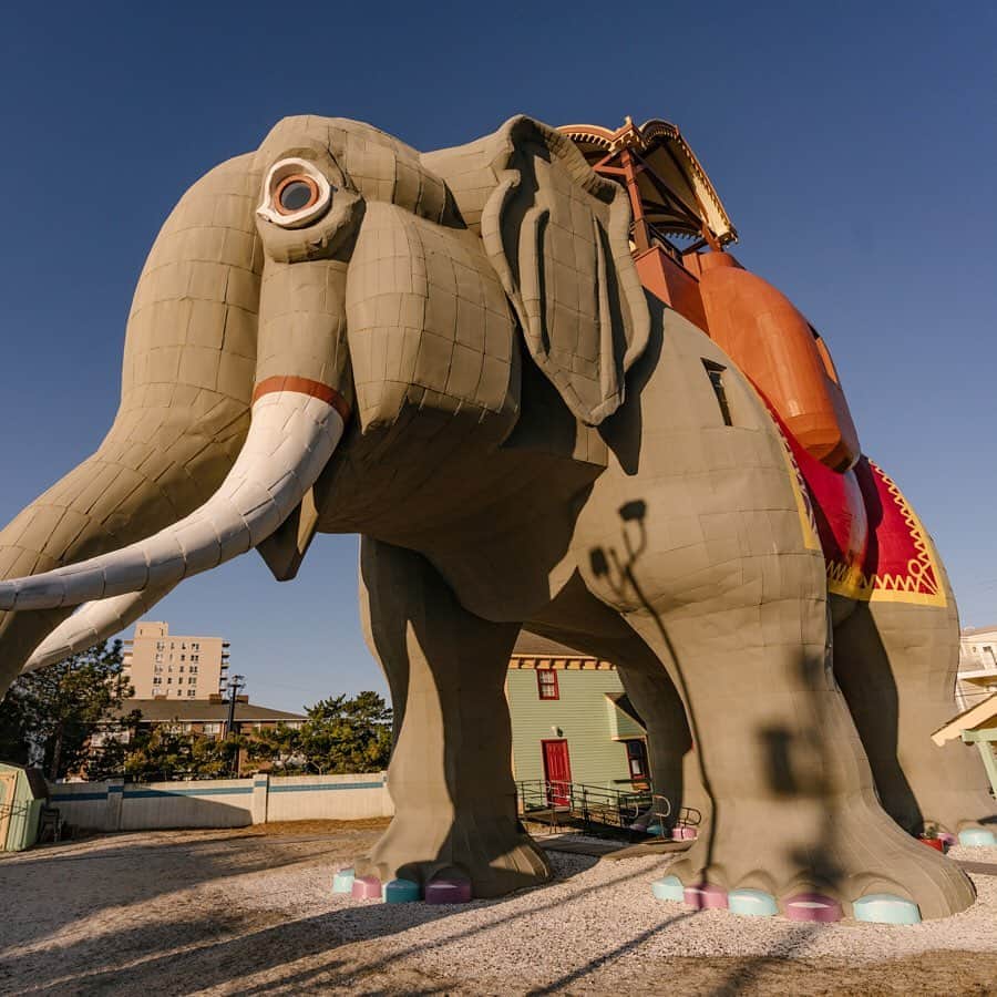 Airbnbさんのインスタグラム写真 - (AirbnbInstagram)「Sometimes there's an elephant in the room–but this time, the elephant *is* the room. Meet Lucy, a 138-year-old wooden elephant who calls the Jersey Shore home. Despite not hosting an official stay since 1902, she's ready to open her doors for a limited time in March so guests can experience the National Historic Landmark for themselves – only on Airbnb. Click the link in our bio to learn more about Lucy. 🐘」2月28日 2時04分 - airbnb