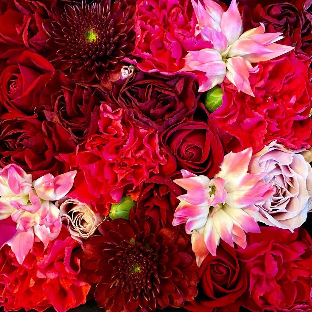 大槻瞳さんのインスタグラム写真 - (大槻瞳Instagram)「Flowers give me inner peace. . #nicolaibergmann#flowers#myhealing」2月27日 20時55分 - hitomi_otsuki_55