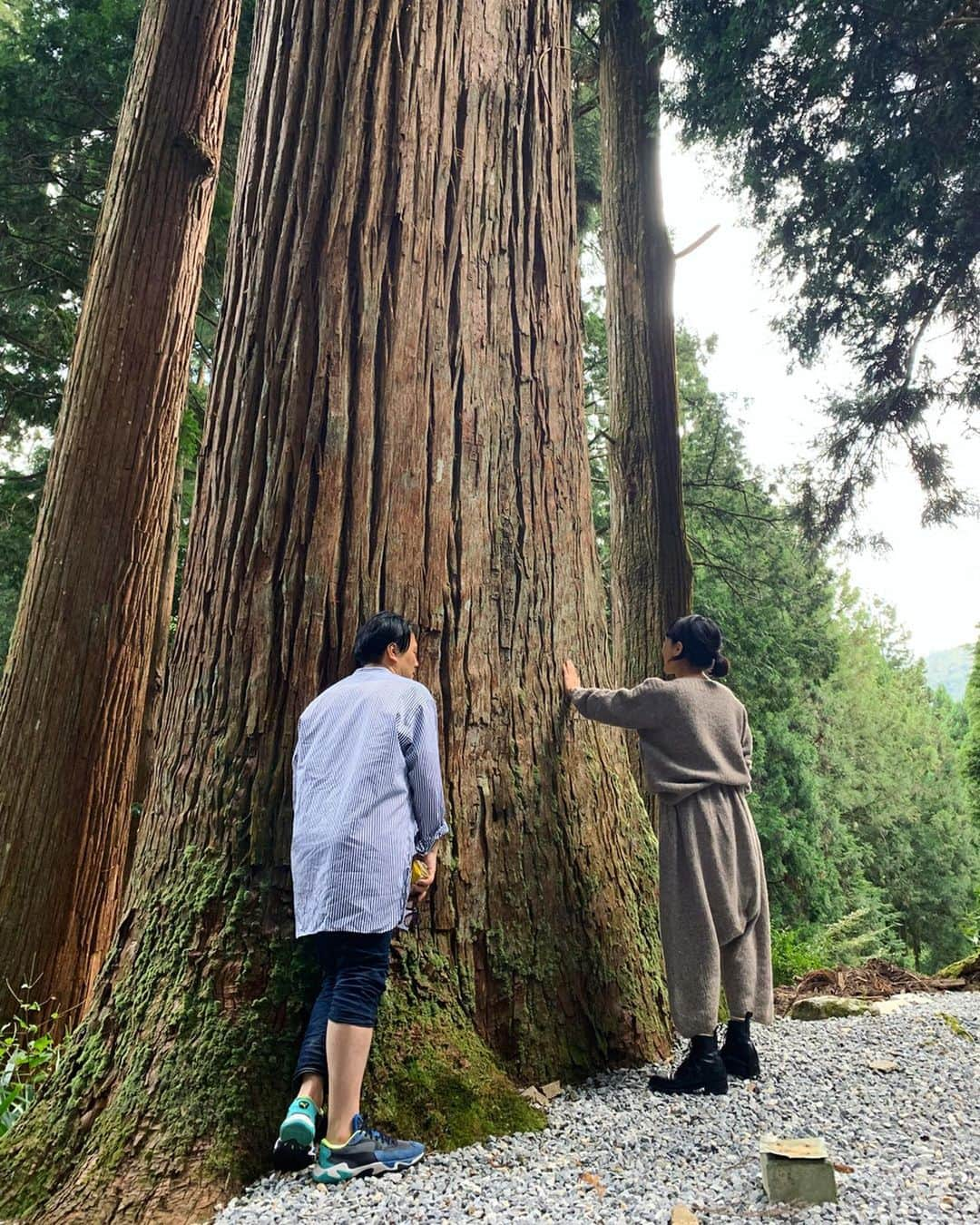 早坂香須子さんのインスタグラム写真 - (早坂香須子Instagram)「いよいよ明日、 NEROLILA botanica EROS が発売になります。  見えないものが大切な時代に、目に見えない脅威に晒されている私たち。  防御をして、何より心は健康に、マスクの中は口角上げて行こう。  こんな時だからこそ、少し丁寧に、自分に向き合う時間にしています。  EROSは心と身体の本質的な部分に寄り添い、身体と精神のバランスを整えてくれる。 戦闘態勢になりがちな心を光で包んでくれるみたいに。今、この子たちがいてくれて、本当に良かった。  手洗いのあと、バームを擦り込む時間が、私の癒しタイム。優しい時間になるんです。  EROS開発に携わってくれた愛するみなさま、心から感謝します。  開発秘話などは @bxe_natural のIGTVをご覧下さい。  エロスとは本質への目覚め。 自分への愛と信頼を取り戻し 大きな視野を与えてくれました。  愛と感謝を込めて  香須子  全国のお取り扱い店舗は 私のプロフィールから または @bxe_natural  のアカウントに記載しています。  #ネロリラEROS #自分への信頼を高めるオイル #秘めたる官能を解き放つ #nerolilabotanica  #ネロリラボタニカ #bbye #ビーバイイー #シンシアガーデン  #BDIHコスモス認証を取得 #ネロリラエロス #NEROLILAEROS #香りはユニセックス #男性にも使って欲しい #陰陽#yinyang」2月27日 22時13分 - kazukovalentine