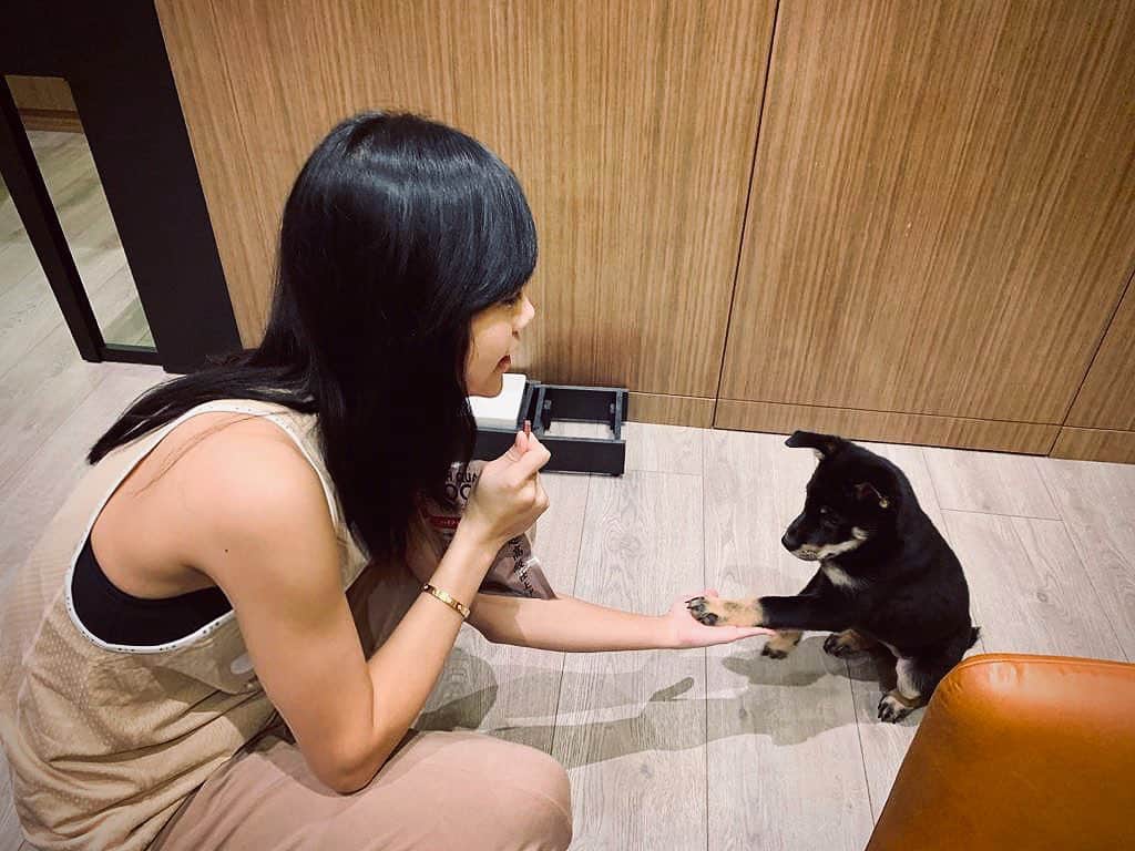 ジャクリーン・ウォンのインスタグラム：「The little big things in life. 🤲🏻🐾 Mami’s proud moment 😌」