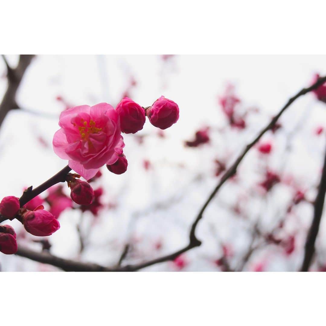 篠原真衣のグルメインスタ