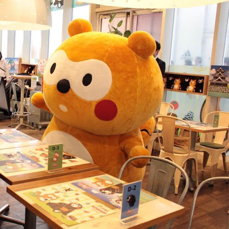 ポンタのグルメインスタ