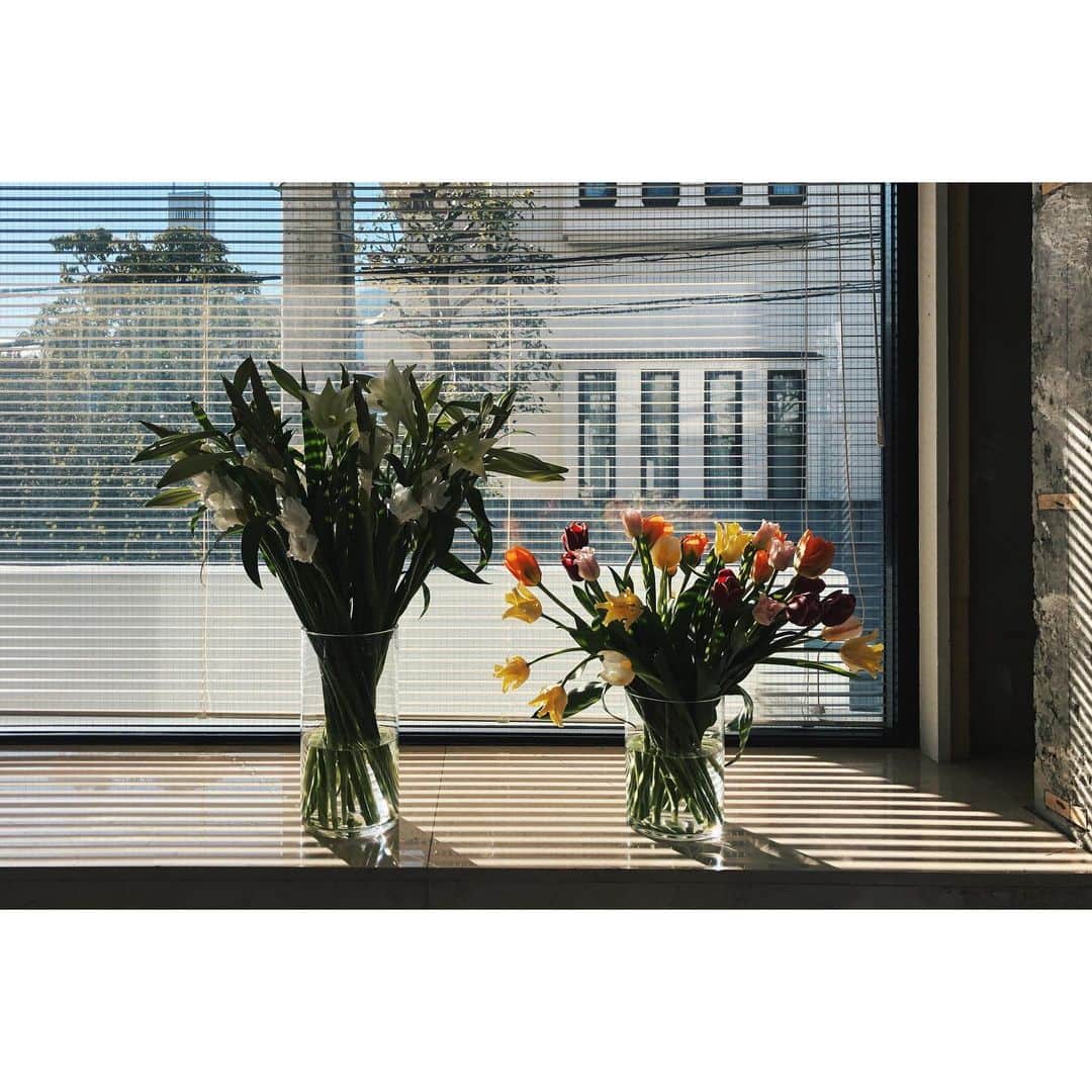 eriさんのインスタグラム写真 - (eriInstagram)「無事本日新社屋へお引越し完了🌷🌷🌷お祝いのお花をありがとうラブ。　#デプトカンパニー引越しウィーク　#デプトカンパニーのたのしみ」2月27日 22時42分 - e_r_i_e_r_i