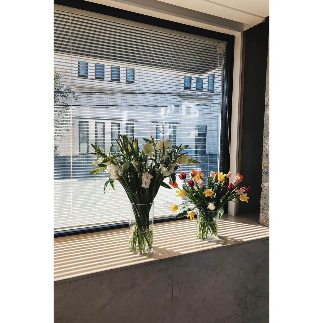 eriさんのインスタグラム写真 - (eriInstagram)「無事本日新社屋へお引越し完了🌷🌷🌷お祝いのお花をありがとうラブ。　#デプトカンパニー引越しウィーク　#デプトカンパニーのたのしみ」2月27日 22時42分 - e_r_i_e_r_i
