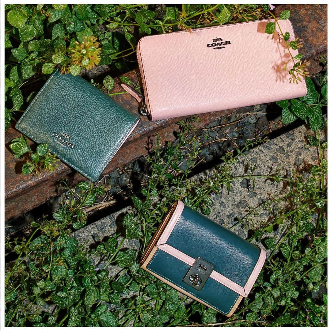 コーチさんのインスタグラム写真 - (コーチInstagram)「All the small things. Whether your wallet is meant just for the essentials, holds your whole life or acts as a style statement, we've got something just for you. #CoachNY」2月27日 23時21分 - coach