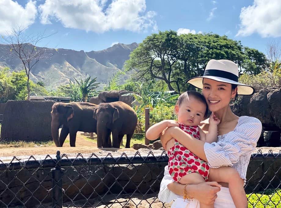 ルピン・ワンのインスタグラム：「Honolulu zoo」
