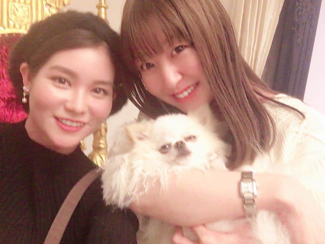 のインスタグラム：「まいまいと^ - ^  まいまいと久しぶりにボウリングしたいな🎳  #ラブボウラーズ  #長谷川麻衣 ちゃん　#チワワ」