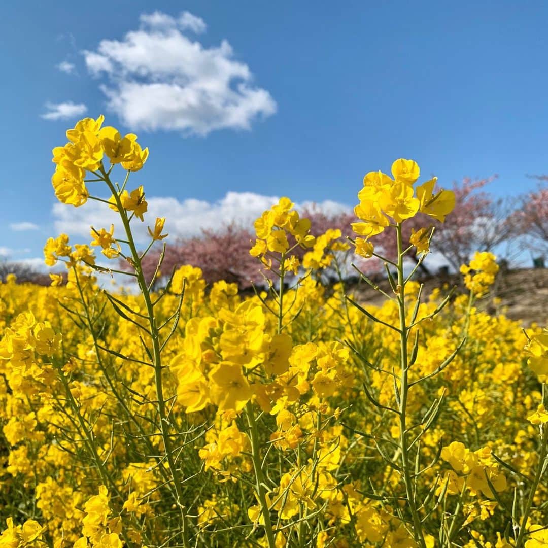 伊豆蔵将太のグルメインスタ