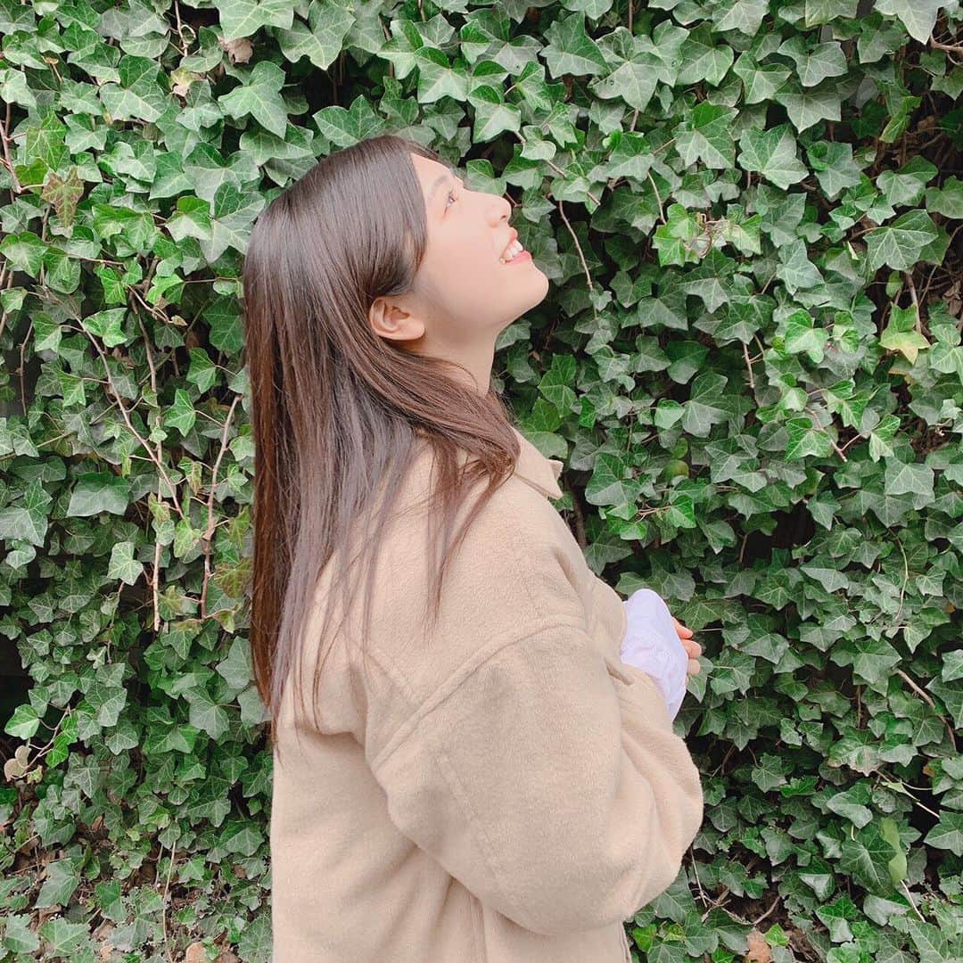 吉田莉桜さんのインスタグラム写真 - (吉田莉桜Instagram)「🌳🌳🌳 #緑」2月27日 23時59分 - yoshida_rio_official