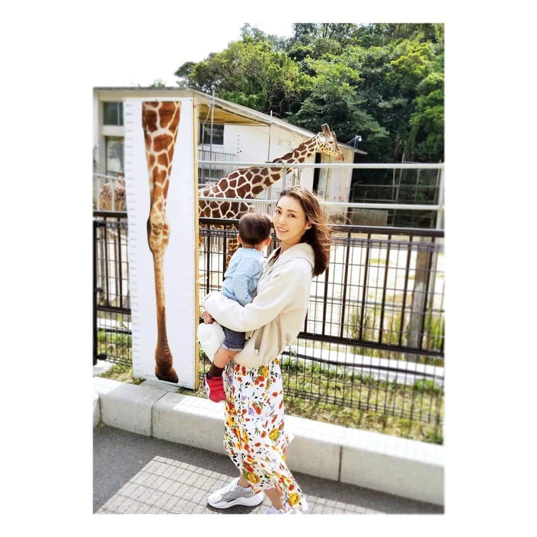 押切もえさんのインスタグラム写真 - (押切もえInstagram)「🦒 Last week.We visited the zoo in Okinawa. My son was excited to see real giraffe,elephant,lion...other big animals for the first time!  先週の沖縄での一枚。 息子、初めて見たキリン（「じじんさん」と呼んでいる）に興奮。 象（「ぞうちゃん」）やライオン（「ガォー」）、他の動物の姿にも喜んでいました。  一週間で社会の状況もかなり変化しましたが、みなさん、体調管理に気をつけましょうね。 #沖縄 #動物　#zoo #travel #japan #キリン #giraffe  #animals #家族　#家族旅行　#子連れ旅行  #family #myson  #主人が撮ってくれました #自然とアングル上から #コロナウィルス　#気をつけよう」2月28日 11時16分 - moe_oshikiri