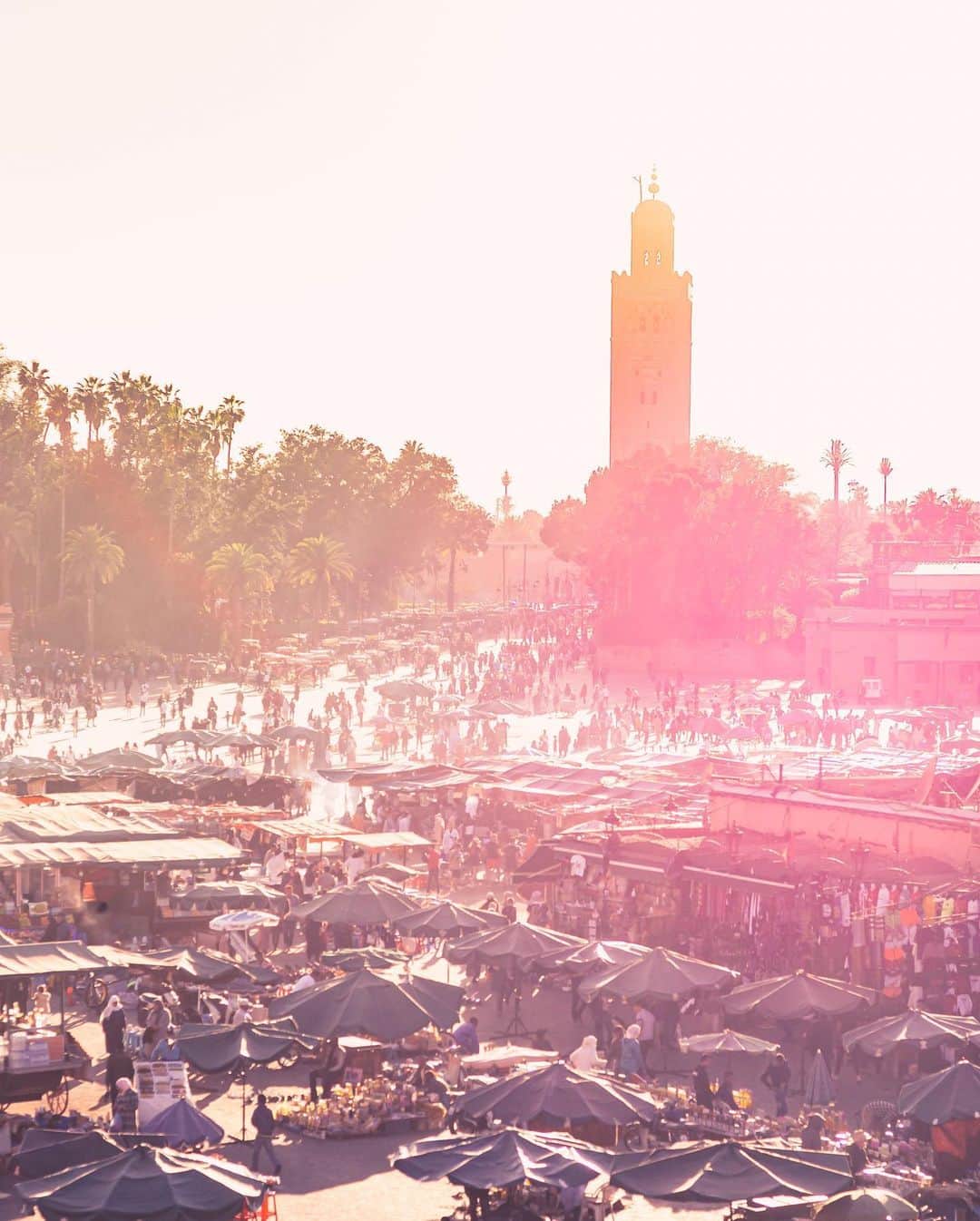 アンドレ・ロッテラーさんのインスタグラム写真 - (アンドレ・ロッテラーInstagram)「Had some fun times exploring #marrakesh before hitting the track.  #picoftheday #souk #medina #photography @leicapilot」2月28日 2時18分 - andre_lotterer