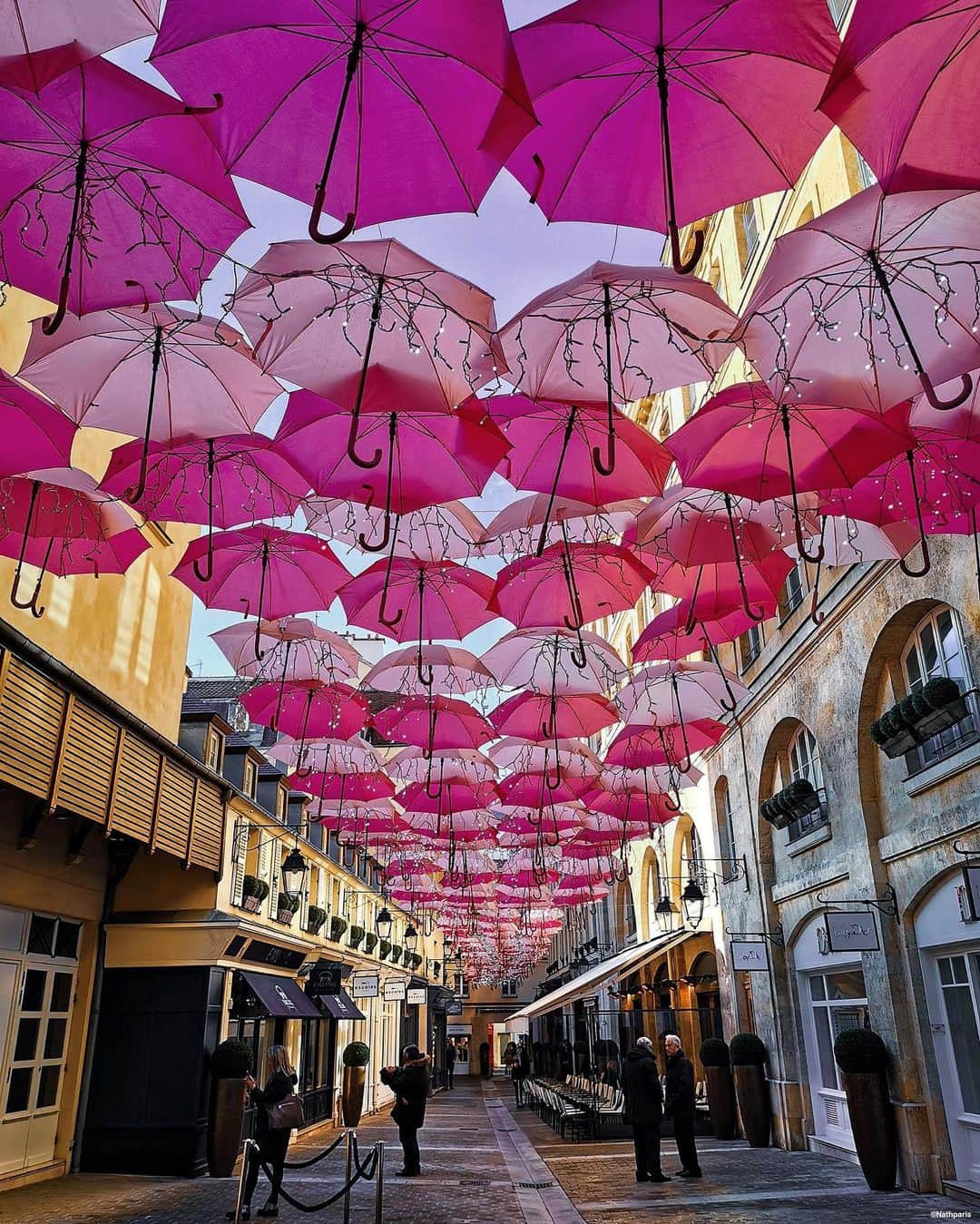 nathparisのインスタグラム：「PINK SKY... . See life in pink to wait for the blue sky of spring💖 #levillageroyal」
