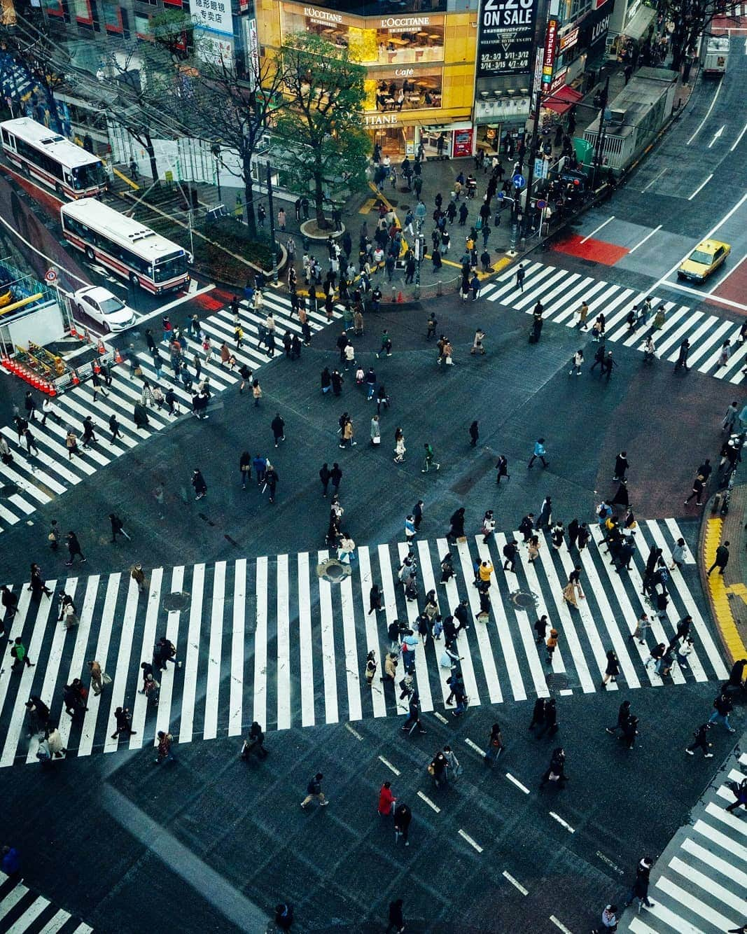 VuTheara Khamさんのインスタグラム写真 - (VuTheara KhamInstagram)「Shibuya Crossing, Japan (2020) It's a selection of pictures focus Shibuya Crossing View, taken from the Deck at Magnet by Shibuya 109. #UnknownJapan #visitjapanjp @visitjapanjp」2月28日 3時04分 - vutheara