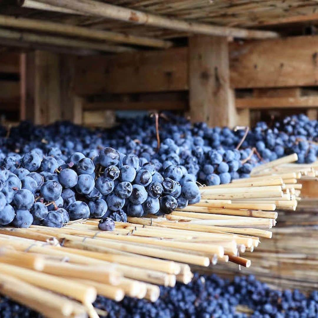 エンリケ・ソラ・クレメンテさんのインスタグラム写真 - (エンリケ・ソラ・クレメンテInstagram)「El vino de esta noche es Santalba Amaro 2015, Bodegas Santalba. Único vino en la D.O.Ca Rioja elaborado por el método ancestral de origen italiano AMARONE. Uvas, mayoritariamente Tempranillo, de viñedos extremadamente viejos vendimiadas temprano y extendidas en camas de bambú para dejarlas secar y concentrar el azúcar y deshidratarlas al menos dos meses. Después de todo su proceso el vino descansa en barricas de roble durante 15 meses. Intenso, profundo, untuoso, compotado y goloso.  Un vino especial y difícil de olvidar, al que quizás no estamos acostumbrados. A mi me ha encantado. Lo conocéis? Degustado en Zalto Bordeaux Glass & Zalto Axium Decanter. • • • • • #vino #vin #vinho #вино #ワイン #紅酒 #wein #champagne #winelover #wineinfluencer #winetime #food #winecellar #wineporn #instawine #winetasting #sommelier #foodandwine #champagnelover #santalba #bodegassantalba #amarone #amaro #amaronewine #zaltify #zalto #rioja #riojawine」2月28日 5時36分 - kike_sola