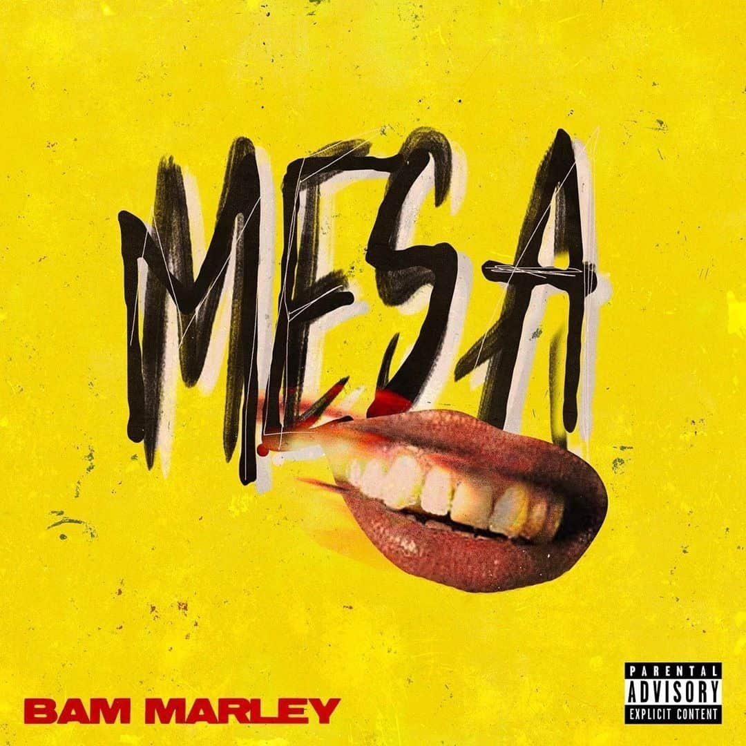 ボブ・マーリーさんのインスタグラム写真 - (ボブ・マーリーInstagram)「'M.E.S.A. Part 1', the new EP from @bammarley, is streaming now worldwide at the link in bio! #bammarley #marleyfamily #LEGACY #newmusic」2月28日 5時30分 - bobmarley