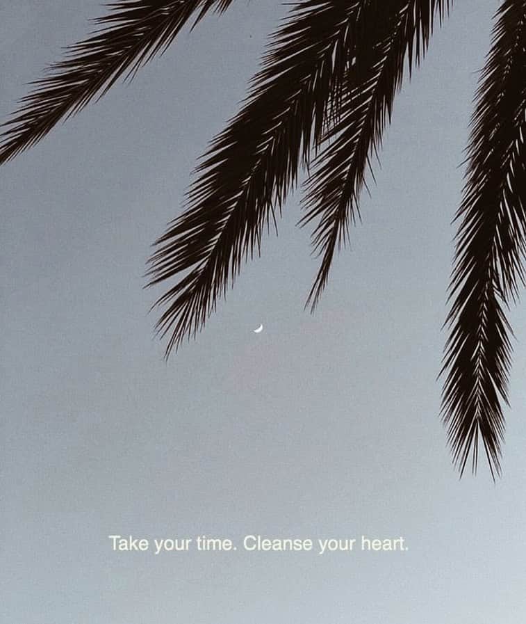 ジプシー05のインスタグラム：「Take some time for yourself 🌿」