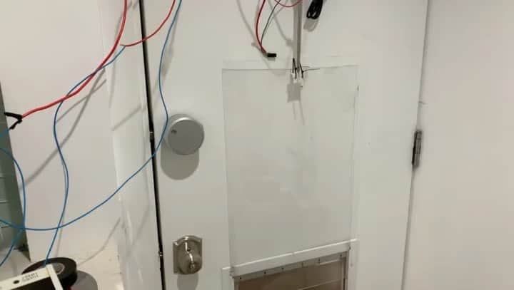 のインスタグラム：「Doggy Door Robot. 0.7 beta」