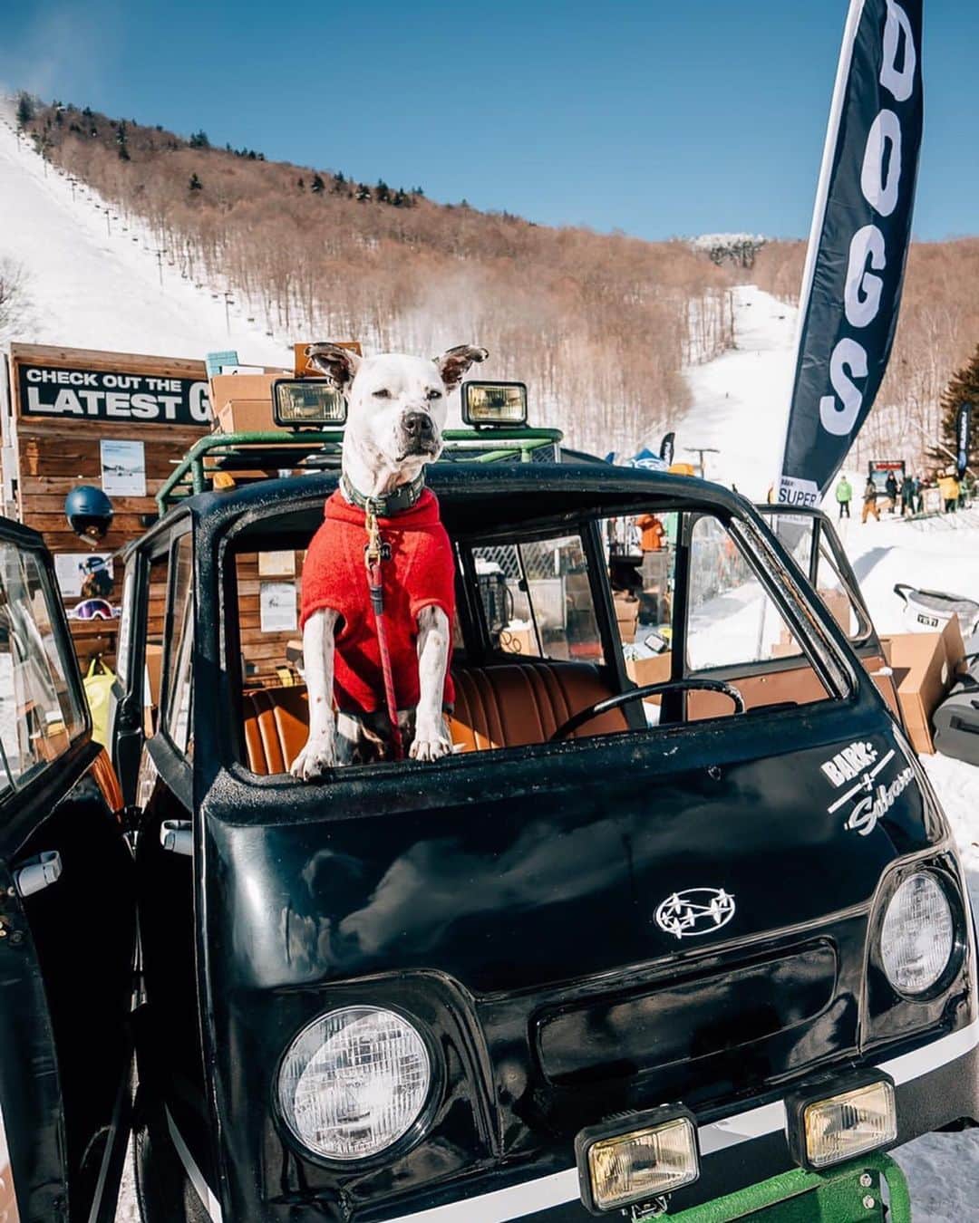 Subaru of Americaさんのインスタグラム写真 - (Subaru of AmericaInstagram)「On top of the world in this Subaru 360 van 👑🐾 ! Bring your furry friend to #SubaruWinterFest @coppermtn this weekend 2/28 - 3/1.(📸: @photocait #HarmanKardonPartner)」2月28日 8時45分 - subaru_usa