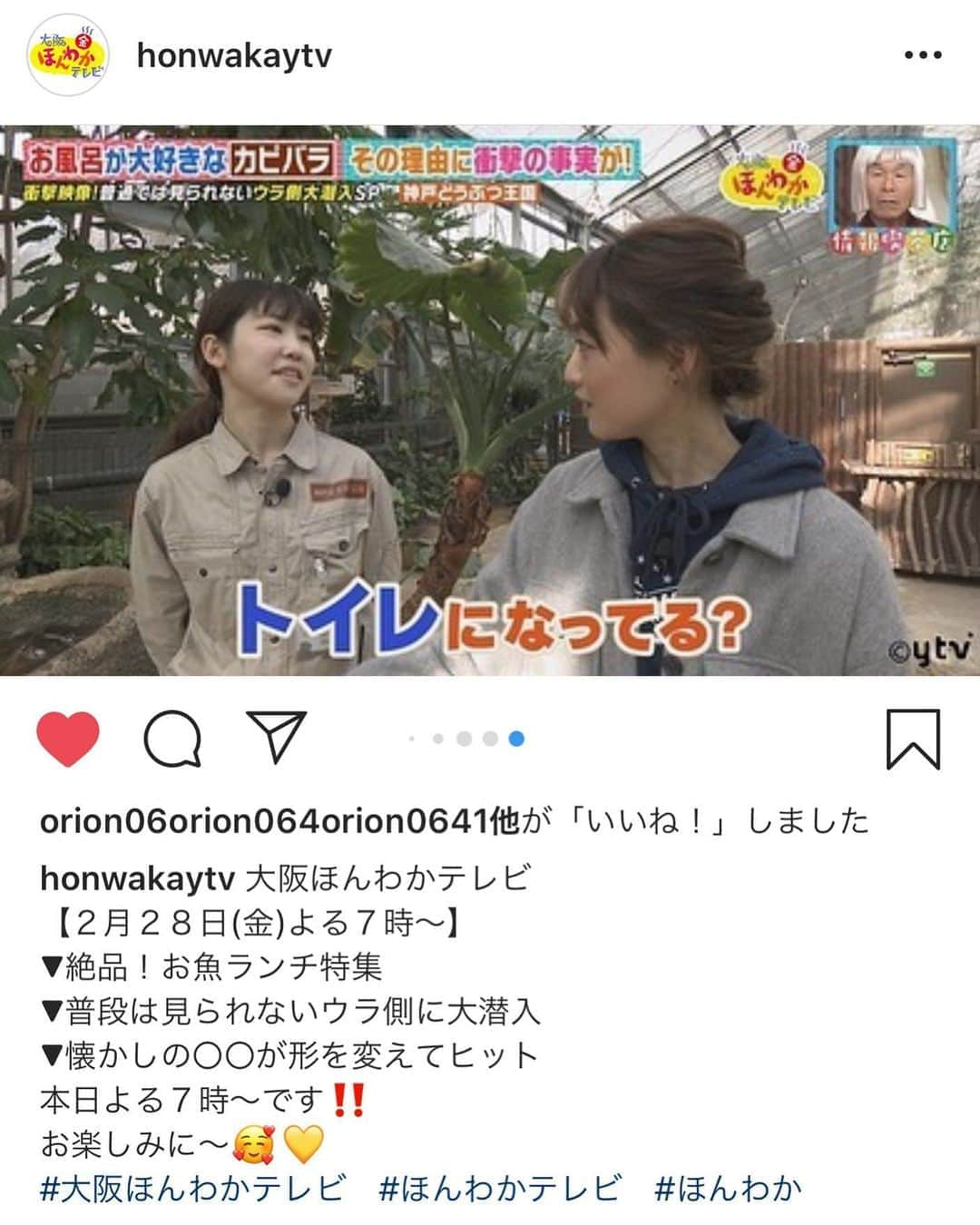 彼方茜香さんのインスタグラム写真 - (彼方茜香Instagram)「ほんわかテレビ♥ 今日は19:00〜10チャンネルで！！ 神戸どうぶつ王国の裏側に潜入してきましたー(^^)v どうぶつ王国はめっちゃ間近でどうぶつ達に会えるし、雨が降っても室内やからのんびり出来るし何度も行ってます！ 裏側には沢山の努力とハッピーがありましたよ♪♪♪ 関西にお住まいの皆様は是非見てください(^^)v #大阪ほんわかテレビ #読売テレビ #毎週金曜日  #神戸どうぶつ王国 #彼方茜香」2月28日 9時16分 - serikaochikata