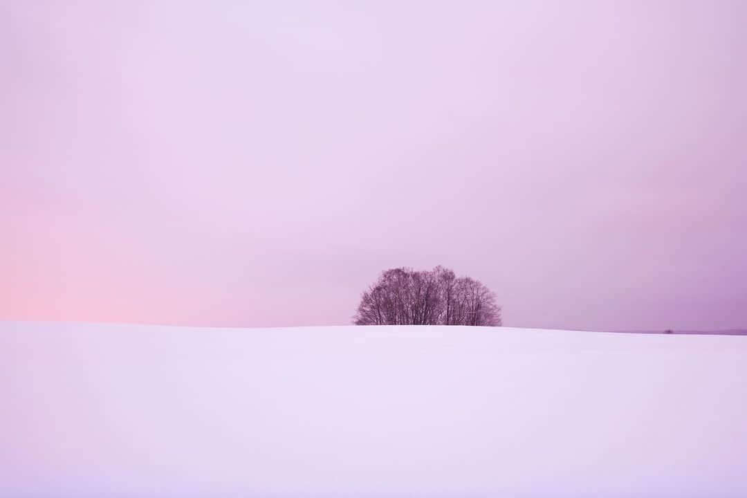 Hikaruのインスタグラム：「After a long time. . A fun day is a memory. . . . Camera:sonyα7RⅢ lends:vario_TessarT FE16-35mm . #beige  #hokkaido  #hokkaidotrip  #nationalparksjp #instagram #instagramjapan #igersjp #東京カメラ部 #tokyocameraclub #natgeo #pashadelic #naturephotography #naturegeography #photogrena_nature #photo_shorttrip #japan #hokkaido #写真好きな人と繋がりたい #北海道 #Japan_ilc #sony #bealpha #SonyAlpha #SonyImager #雪」
