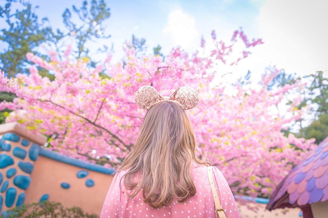 SHIHORINのインスタグラム：「🌸 . 今年はまだミニーちゃんのお家の桜が見れてない😭(昨年の写真です🌸なつかし🥺) . 明日から3/15まで臨時休園になってしまって悲しいけど今の状況からして仕方ないよね🥺 早く終息してほしいことを願うばかり😢 . 今は出来る限りの予防をするしかないよね😷💭 みんなが安心してディズニーを楽しめる日がきますように…🐰🌸 . . #shihorin__disney #disney #disneyland #tokyodisneyland #tokyodisneyresort #sakura #pink #ディズニー #ディズニーランド #東京ディズニーランド #東京ディズニーリゾート #ミニーちゃんの家 #桜 #ミニーちゃんコーデ」