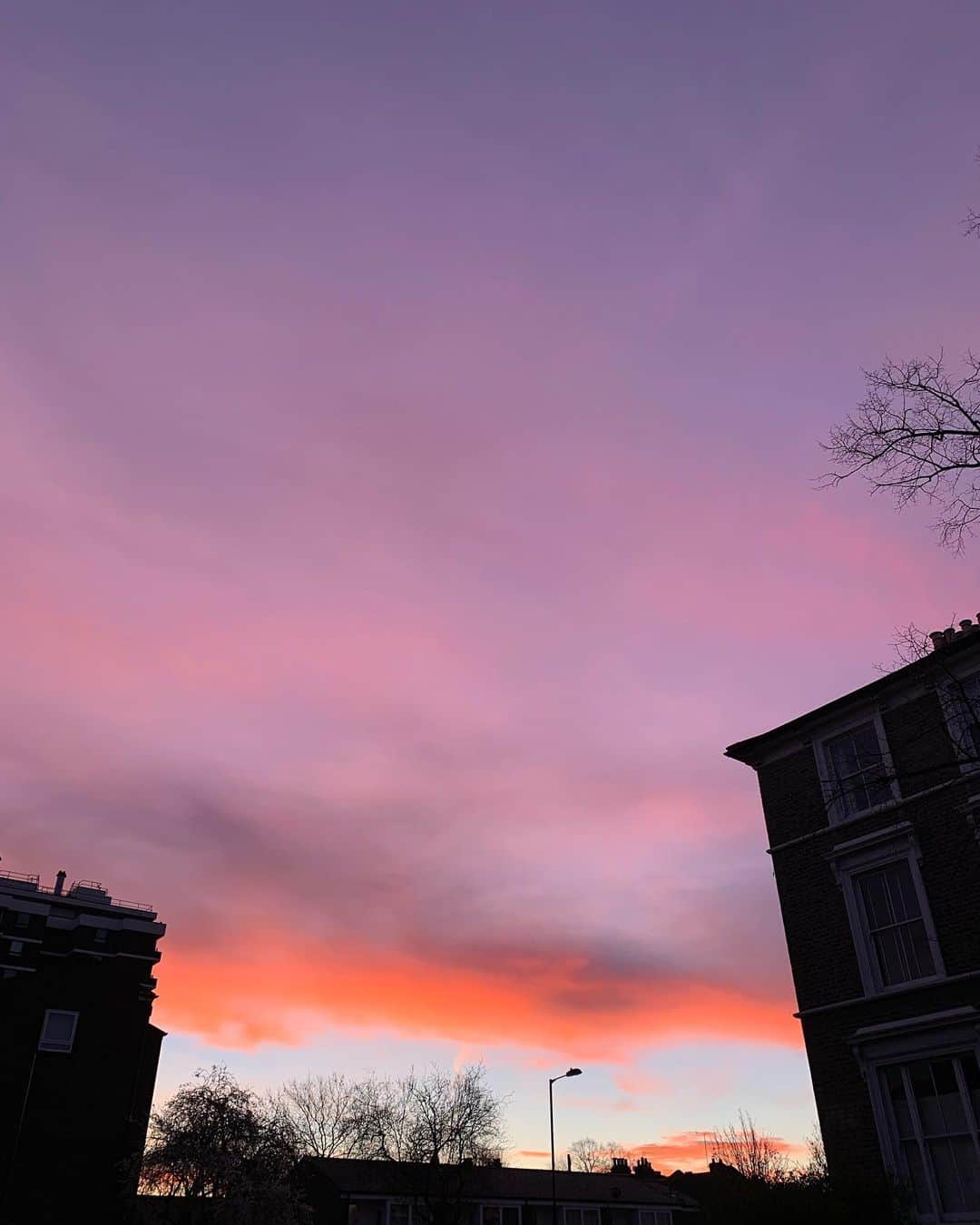 Amelia Zadroのインスタグラム：「Friday sunrise pre sharing my yoga class @ @we_are_vegan_everything 💗」