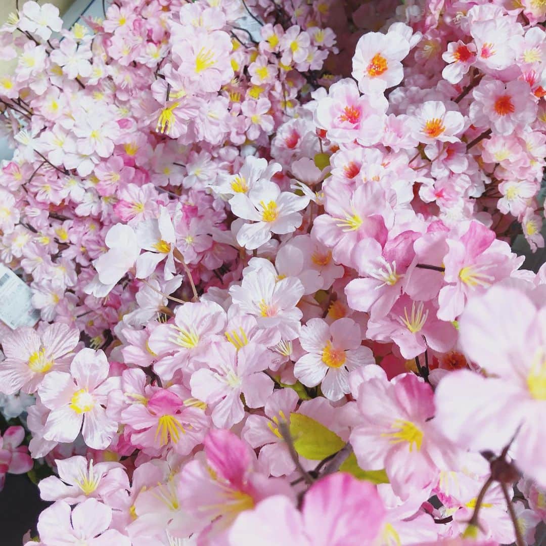 gracocoro Ryoko ONLINE SHOP＜グラこころ＞さんのインスタグラム写真 - (gracocoro Ryoko ONLINE SHOP＜グラこころ＞Instagram)「心配なニュースばかりで、不安になったり…落ち着かないですね💦 ・ うちも上の子が卒園を迎えるけれど 果たしてどうなるやら…。 ・ せめて 節目の姿をちゃんと残してあげたいなと とりあえず桜の造花を買いに🌸 ・ 今年は暖冬だから 本当は桜が綺麗な時に ランドセル背負って 撮影したいなと思っていたけど （できる可能性もあると信じたいけど🙏） ・ とりあえず家でも 家族で楽しく撮影しようと思います🌸 ・ 幼稚園の制服姿も しっかり残そう❣️ ・ ・ こどもは親が思うより あっけらかんとしてたりで その姿に励まされたり💪 ・ こんな時だからこそ 悶々としすぎず 何ができるかなと考えて 笑って免疫力高めて 日々過ごしていきたいですね🌸」2月28日 20時07分 - gracocoryoko