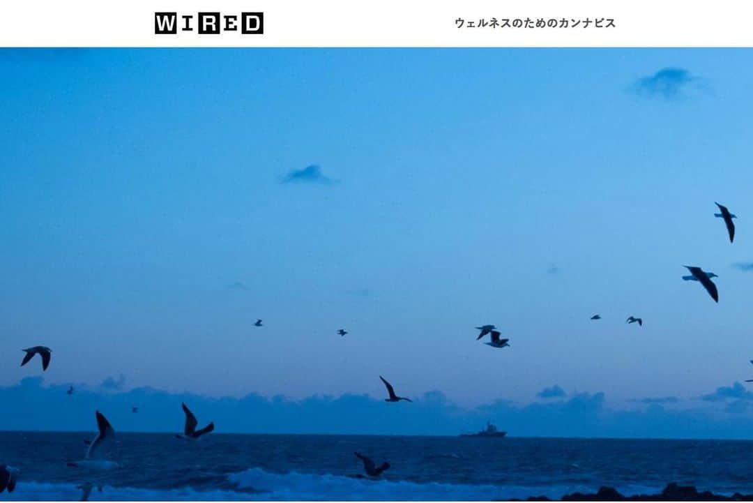 永瀬沙世さんのインスタグラム写真 - (永瀬沙世Instagram)「雑誌『WIRED』日本版VOL.32 PHOTOGRAPHS BY SAYO NAGASE」2月28日 20時13分 - say0ngs