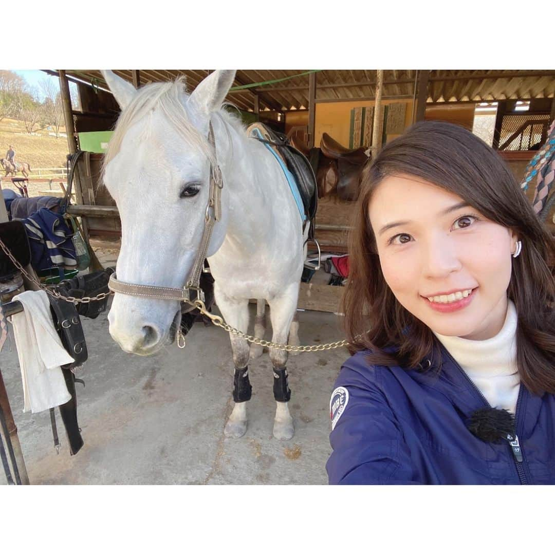 芦崎愛さんのインスタグラム写真 - (芦崎愛Instagram)「川崎競馬の誘導馬と🐎❤︎ #アドニス #元競走馬 #まだぎこちない2人 #いつもレースの激走を見ているので #実は少し怖かったのです笑 #競馬 #誘導馬」2月28日 12時05分 - mana_ashizaki