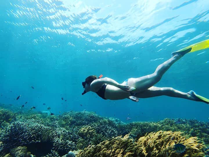 藤巻紗月のインスタグラム：「🌈🐠🌈🐠🌈🐠 綺麗な海で潜るの至福すぎる 珊瑚も生きてたし魚もたくさん。 いい海だったなぁ🤤 #Bali」