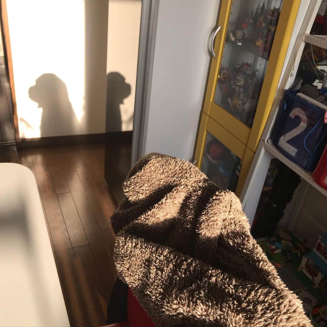 黒瀬純さんのインスタグラム写真 - (黒瀬純Instagram)「たまたま椅子にかけた上着の影が犬になったよ 微笑ましい偶然ね 犬飼いたいな 動物アレルギーだけど」2月28日 13時48分 - kurojun9610