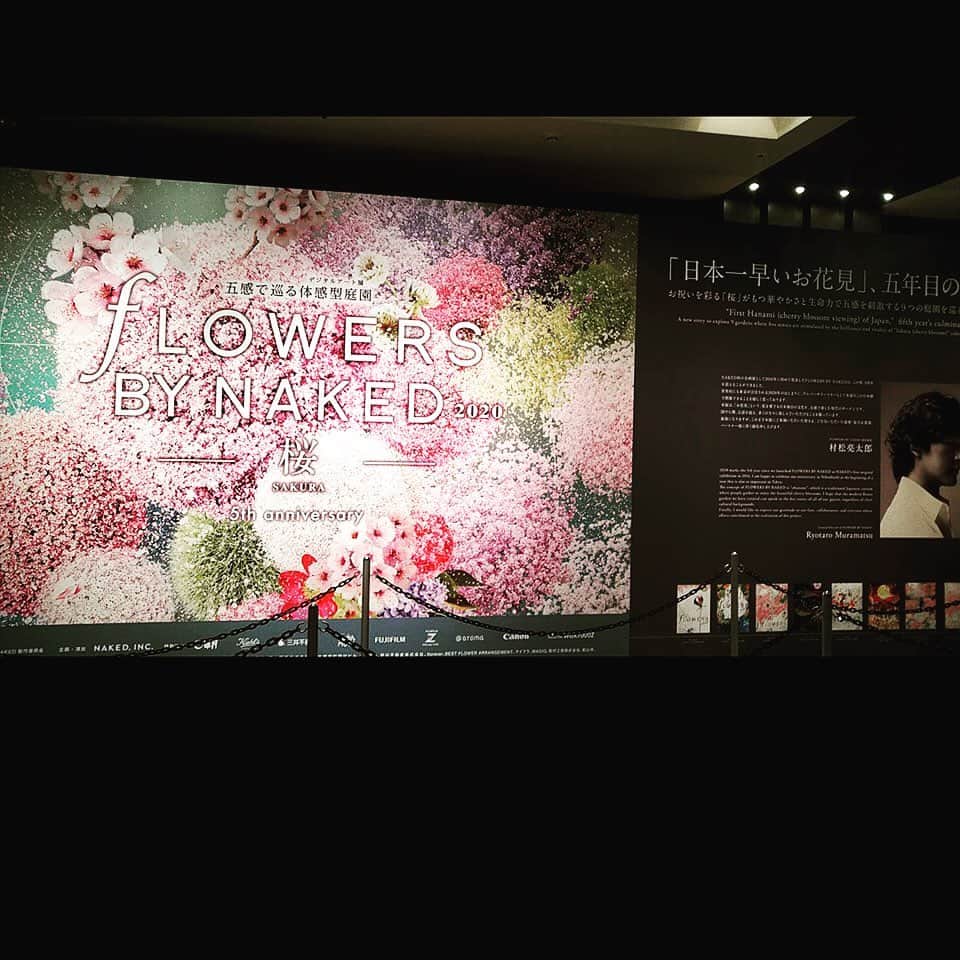 ローチケ（ローソンチケット）さんのインスタグラム写真 - (ローチケ（ローソンチケット）Instagram)「#FLOWERSBYNAKED 2020 －桜－ 🌸開場時間21:00（最終入場20:30）まで延長⏰  現在 #東京 #日本橋 で行われている花の体感型アート展💐「 #FLOWERS BY NAKED 2020 －桜－」（ @naked_inc ）では日本一早い🌸 #お花見 を体験 ✨ 本日 #2月28日 (金)から最終日の #3月1日 (日)まで開場時間を延長します🎶 ※場合によって開催中止になる可能性もあります。詳しくはFLOWERS BY NAKED公式ホームページにてご確認ください。  #フラワーズバイネイキッド は3月1日 (日)まで ローチケでは入場チケットを販売中です🎫 「フラワーズバイネイキッド　ローチケ」でネット検索📲」2月28日 13時52分 - lawson_ticket