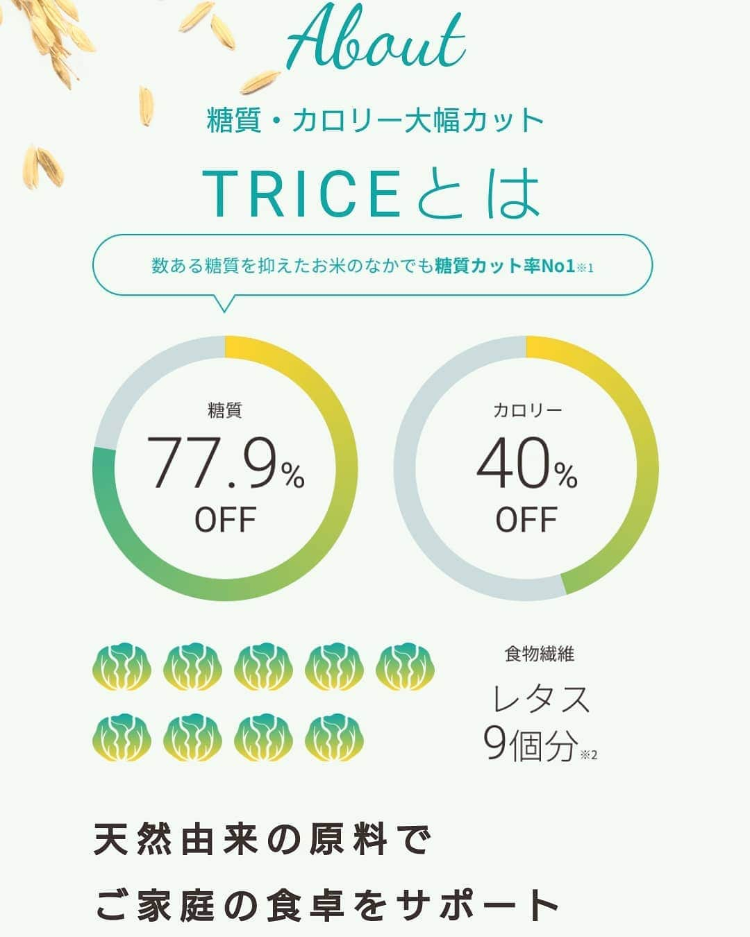 松浦麻里奈さんのインスタグラム写真 - (松浦麻里奈Instagram)「ダイエット糖質制限でもご飯食べたーい😭💓 . . そんな方に、「トライス」( @trice779 ) という 国産の米粉とレジスタントスターチを 多く含んだコーンスターチで作られた無添加食品がある！ . ▼糖質77.9％OFF ▼カロリー40％OFF ▼食物繊維が豊富 上記の３点が揃ったTRICE（トライス )😊✨ . TRICE（トライス）のお試しセットを試食👍😋💕 . ・「ＴＲＩＣＥ」1合 （150g、お茶碗3杯分相当）×3袋 ・調味シーズニング3種 （とり釜飯、ドライカレー、海鮮）×各1袋 . .  もちろんオーガニック成分だし 糖質が気になる方だけでなく、 腸内環境を整えたい方にもオススメ⭐  そのまま炊飯器で入れて炊けるので簡単❣❣ . もっちり弾力あって、お腹にたまる🐰 普段のお米より粒が大きいので、 満足出来るし、味は薄めだけど セットに入ってた調味袋で、奥深い味わいに💖💖 . . . #トライス #トライスお米 #トライス779 #糖質77.9%カット #糖質制限レシピ #糖質オフレシピ #糖質制限メニュー #糖質制限食 #糖質オフごはん #低糖質米 #diet #dietfood #ダイエット #ダイエット女子 #ヘルシー #ご飯 #dinner #lunch #ランチ #pr #foodstagram #foodlover #夜ご飯 #置き換えダイエット #糖質オフ #カロリー制限 #食事制限 #yummyfood #yummy」2月28日 14時13分 - ay114.831m