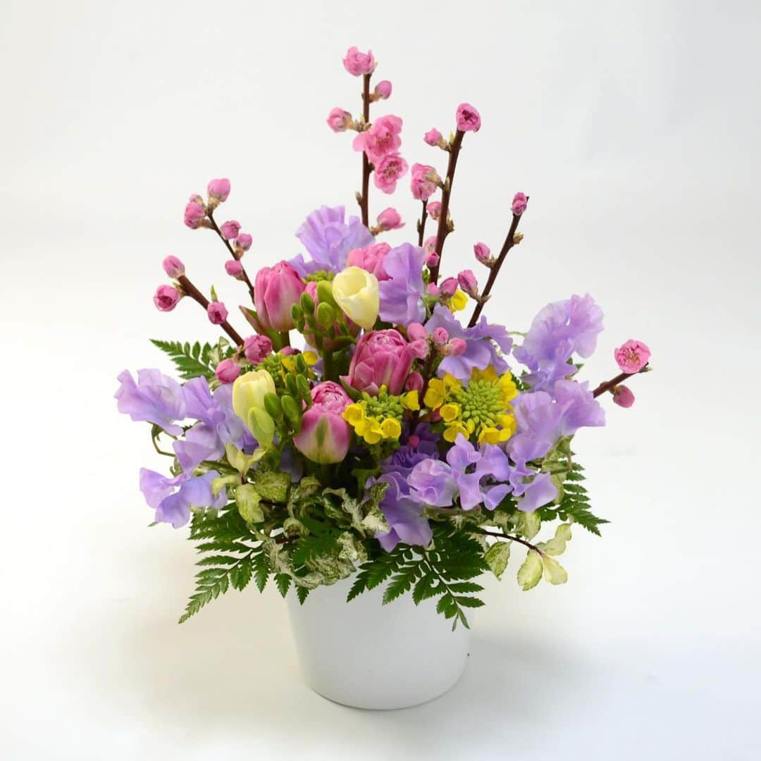 AOYAMA_HANAMOさんのインスタグラム写真 - (AOYAMA_HANAMOInstagram)「桃と菜の花の伝統的な組み合わせに、チューリップやスイートピーなど。春の花々でお作りしたアレンジメント、＜ひなまつり＞。 小ぶりなサイズで、ひな祭りの花飾りとしてはもちろんのこと、女性へのプレゼントにもおすすめです。 桃のお取扱いは2月からひな祭り当日までの、短い期間です。今だけのフラワーギフトを、どうぞお楽しみください。 - - - #aoyamahanamo #flowers #flowershop #florist #instaflower #flowergram #flowerstagram #flowerlovers #花 #花屋 #生花店 #フラワー #ザ花部 #花のある暮らし #花のある生活 #花好きな人と繋がりたい #青山花茂 #ひなまつり #桃の節句 #桃の花 #菜の花 #チューリップ #スイートピー #tulip #sweetpea #freshflowers #生花 #ギフト #プレゼント #通販」2月28日 16時35分 - aoyama_hanamo