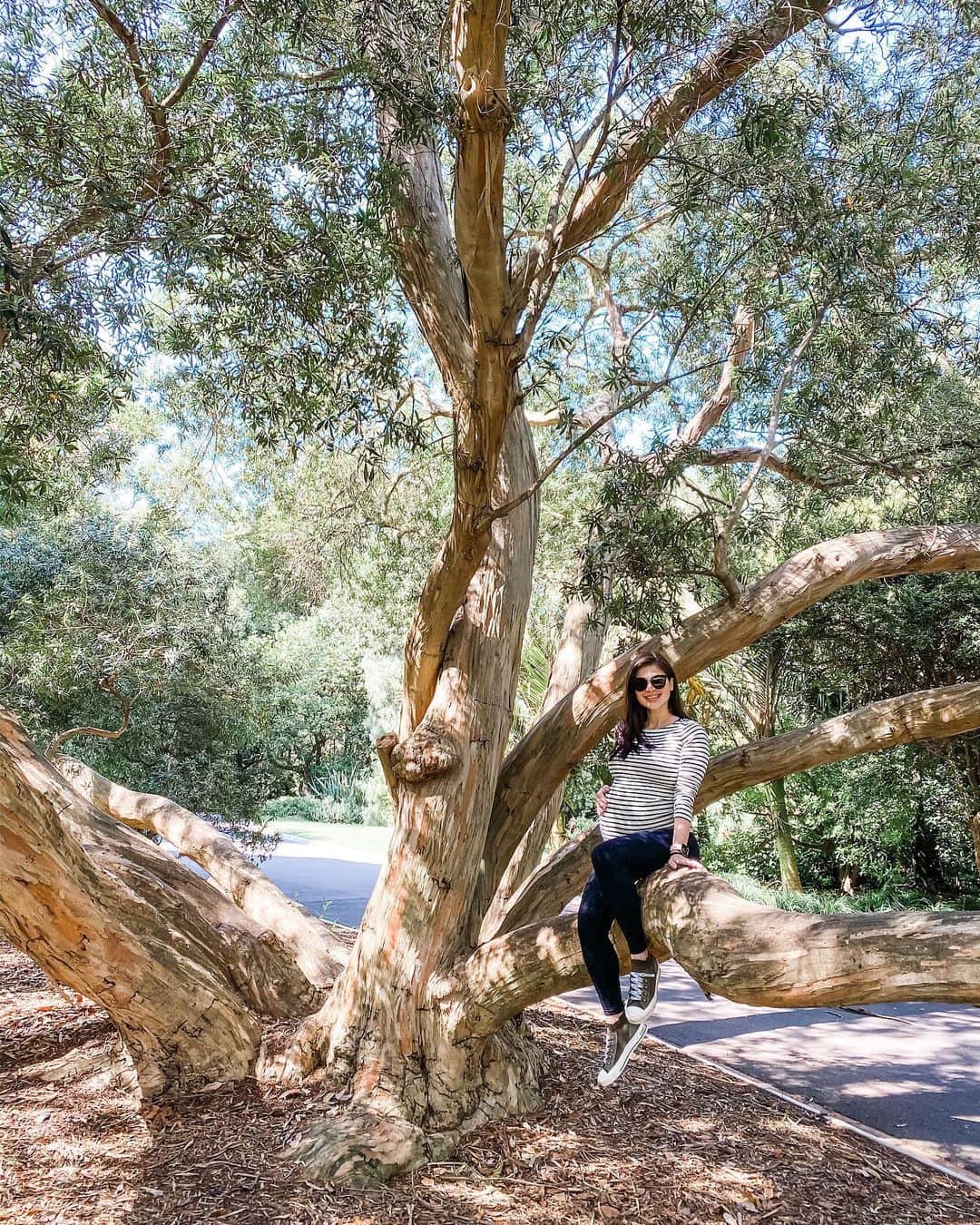 アン・カーティスのインスタグラム：「We used to have a tree in our front yard that I loved to climb as kid.... and here’s my little attempt of reliving that memory (at a safe height where I can just slide off of course😂) I hope my little bub loves to be surrounded by nature like her mum ❤️ Morning well spent! Walked for an hour in hopes of having her drop a little bit 🤰🏻 Almost there. #38weeks」