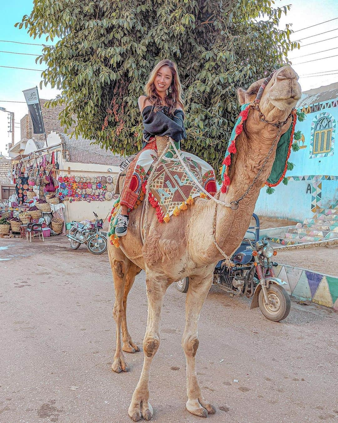 羽石杏奈さんのインスタグラム写真 - (羽石杏奈Instagram)「Take me anywhere🐫💜 . エジプト、スーダン国境近くの街アスワンの、ヌビア人村をラクダに乗って散策した時の写真✴︎ 最近ラクダと縁があるようで、よく乗せてもらう🪐笑 photo in #egypt #egypt🇪🇬 #aswan #aswanegypt #nubianvillage #nubian #camel #camelriding #エジプト」2月28日 17時16分 - hawaiianna913