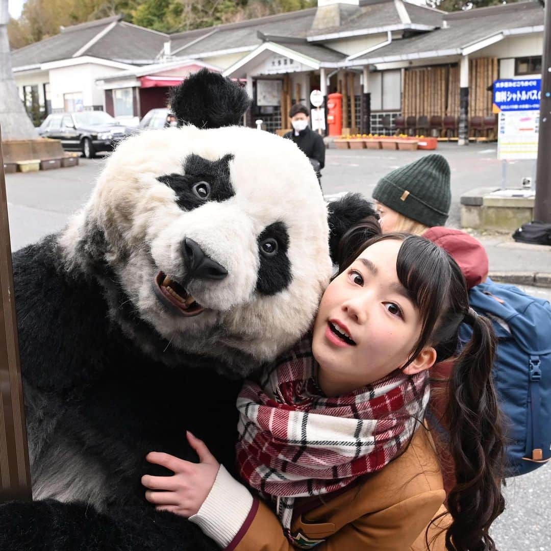 星星（セイセイ）さんのインスタグラム写真 - (星星（セイセイ）Instagram)「💋 . #良い週末を . #星星 #パンダ #panda #pandagram #パンダ好きな人と繋がりたい #レイア #相方 #ZIP!」2月28日 17時24分 - seisei_panda