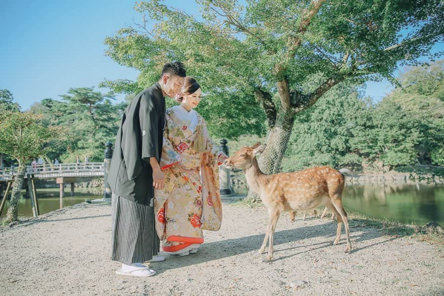 Decollte Wedding Photographyさんのインスタグラム写真 - (Decollte Wedding PhotographyInstagram)「【 Nara 奈良 】Cute photo with Deers🦌❤️﻿ ﻿ ﻿ @studiotvb_nara  @decollte_weddingphoto﻿ @decollte_weddingstyle﻿ ﻿ ﻿ #japan #nara #deer #Decolltephotography #weddinginspiration #Weddingphotography #prewedding #weddingphoto #overseasprewedding #japaneseprewedding #japanwedding #instagrammable #cutephoto #landscapephotography #romantic #love #happiness #日本 #奈良　#海外婚紗 #婚紗 #唯美 #신부 #웨딩 #웨딩사진촬영」2月28日 17時22分 - d_weddingphoto_jp