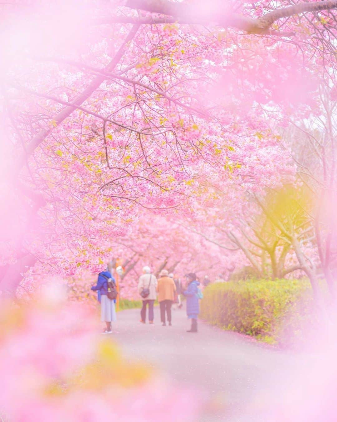 楽天トラベル のインスタグラム