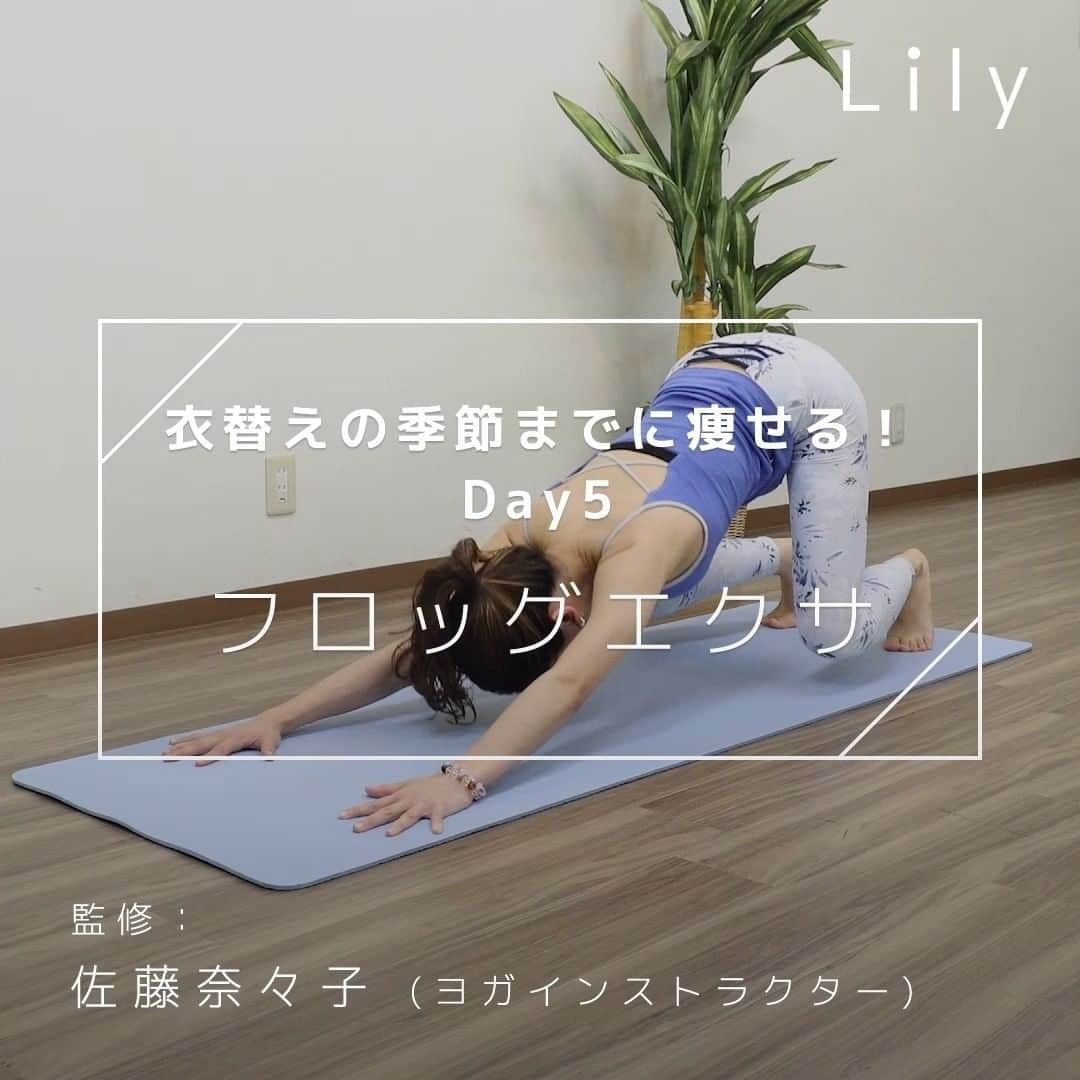 Lilyのインスタグラム