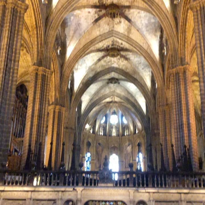 天見浩司のインスタグラム：「歴史を感じる内装  バルセロナ大聖堂（サンタ･エウラリア） Cathedral of Santa Eulalia #スペイン #Spain」