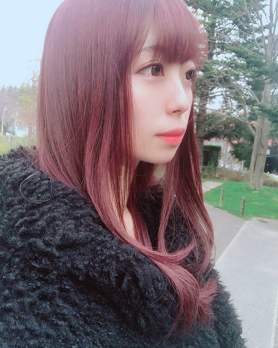 樹智子のインスタグラム