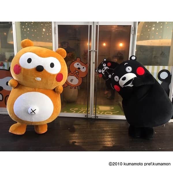 ポンタのグルメインスタ