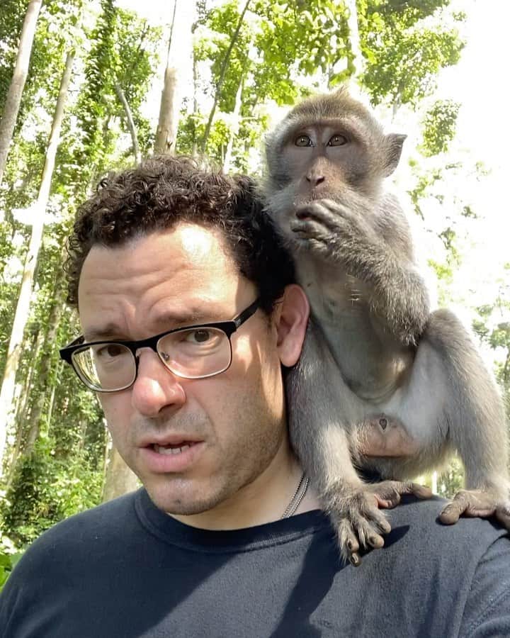 ティモシー・サイクスのインスタグラム：「I’m here chilling with my new monkey friend in Bali despite the US stock market having its worst week in over a decade and the 5th worst week EVER because my top students and I are enjoying record trading profits due to the #coronavirus stock craze. Sorry for being so far behind on my DMs (I promise I’ll catch up this weekend!), but it’s been an INSANE week for me because while I feel for the victims and the families of this virus…truly…this outbreak has created the EXACT same Supernova patterns in the stock market as the Ebola and SARS outbreaks did in years past so it pays…literally…to study and know your stock market history. Many people ask me the secret to getting rich and I’ll tell you — I’m basically a glorified history teacher. And no, it’s not an exact science by any means, for example, yesterday I bought Dynatronics Corporation (DYNT), which makes respiratory masks, among other products, at $1/share, and sold for a puny few hundred dollar profits thinking it was a dud, but today it hit $5/share so I HUGELY underestimated it…do not for one second think there’s any one magic formula as this isn’t an exact science. But while studying history isn’t very fun, it’s been my key to success, and over time the lessons you learn can make you enough money to help you escape the rat race and then you can travel to beautiful places like Bali whenever you want..and trust me, that is very fun :) #workfromanywhere #monkeyingaround #ilovebali #jewsinthejungle」